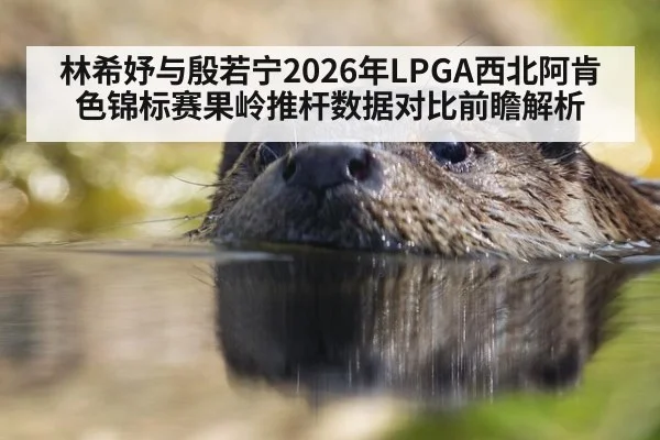 林希妤与殷若宁2026年LPGA西北阿肯色锦标赛果岭推杆数据对比前瞻解析